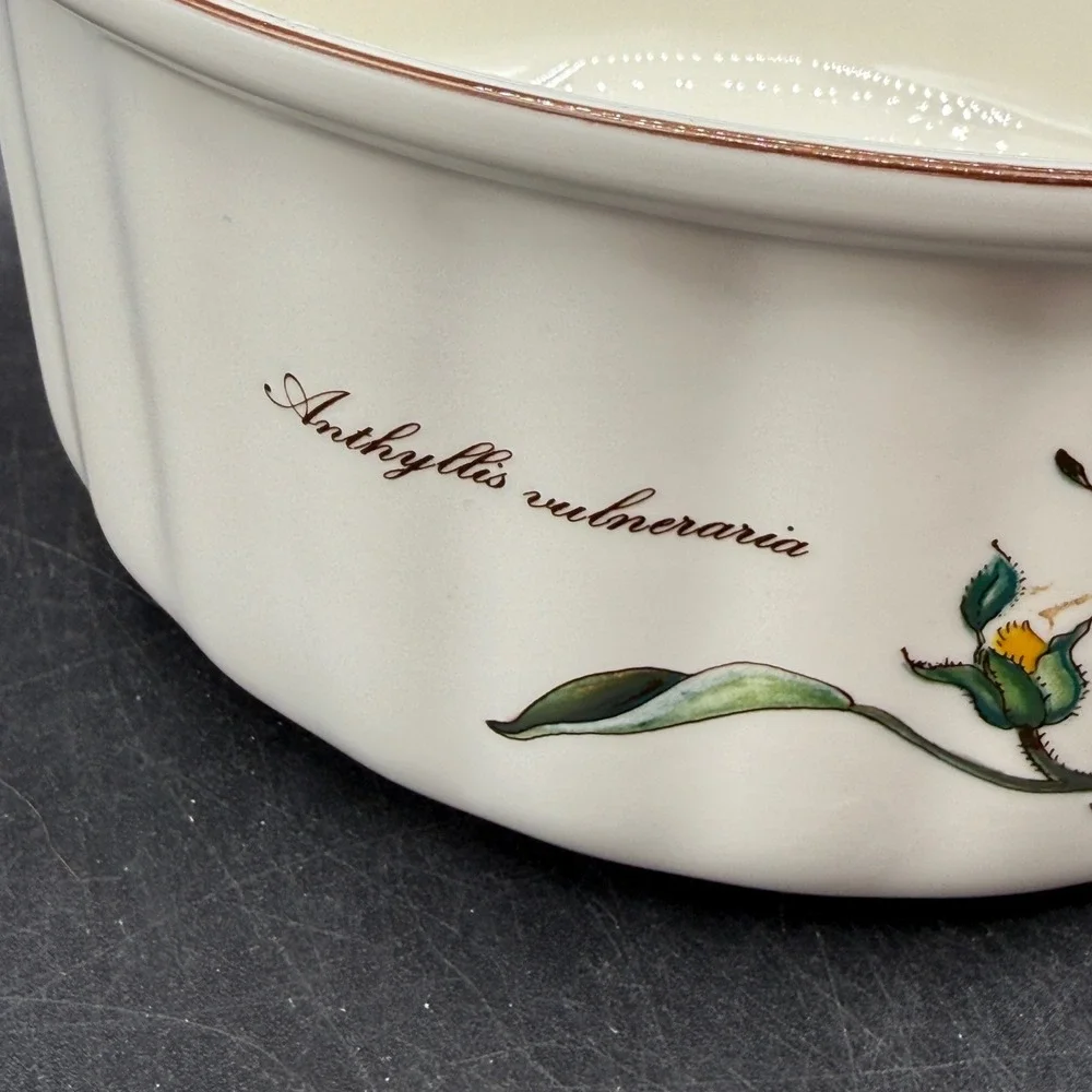 Vintage Villeroy & Boch Botanical 8